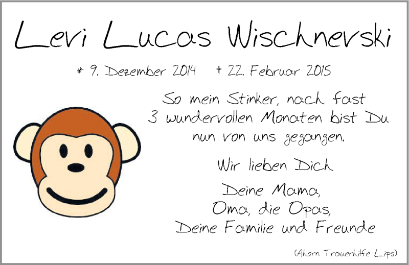  Traueranzeige für Levi Lucas Wischnevski vom 28.02.2015 aus LZ