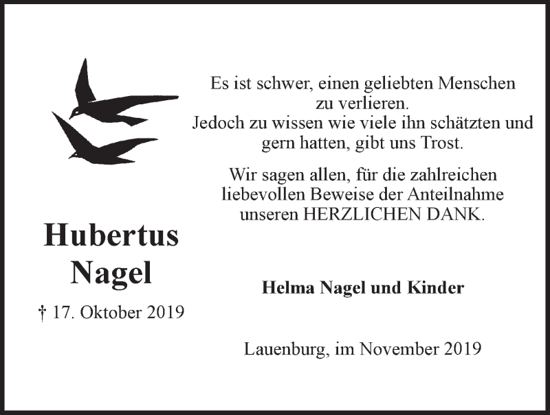  Traueranzeige für Hubertus Nagel vom 23.11.2019 aus LZ