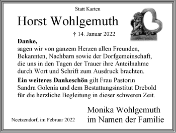 Anzeige von Horst Wohlgemuth von LZ